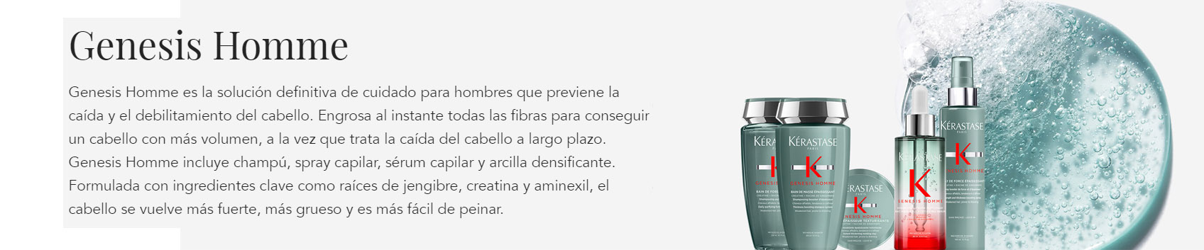 Genesis Homme